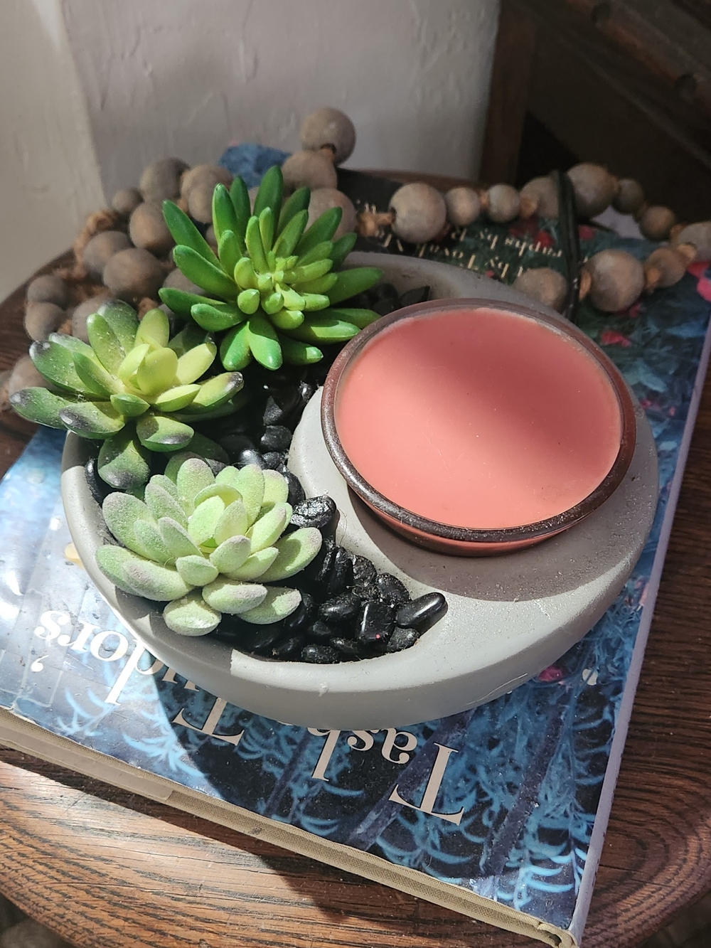 Scentsy Little Garden Succulent Wax Warmer